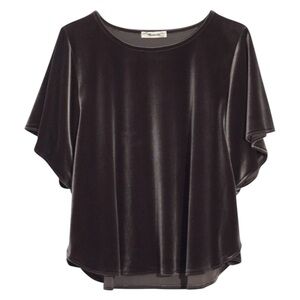 Madewell Velvet Crop Top Dolman Sleeve Gray Small